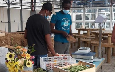 Les Réglisses :  zoom sur le chantier éducatif « vente de fruits et légumes »
