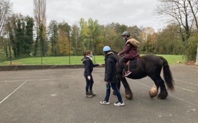 Yvelines Parcours Sud : Médiation Animale