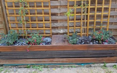 « Bois de quartier » au SPS Les Réglisses