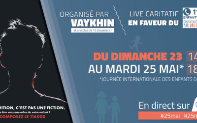 Stream On for Kids : Interview de Vaykhin (Cédric Flament)