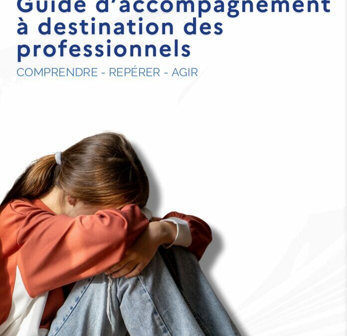 Guide d&rsquo;accompagnement à destination des professionnels
