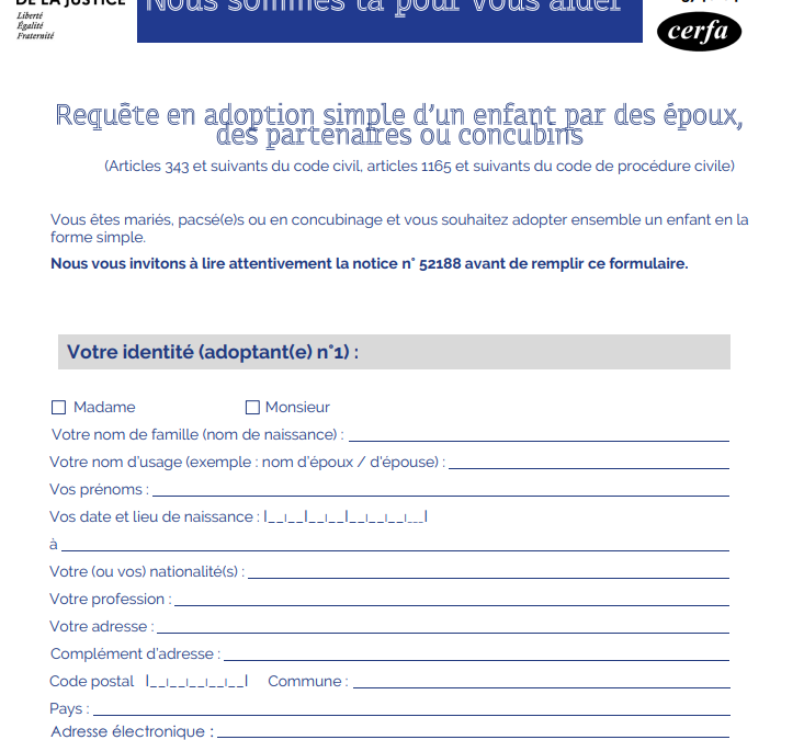 Requête en adoption simple d&rsquo;un enfant par des époux, des partenaires ou concubins